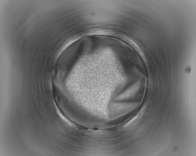 X0000090931433200708131444