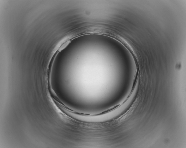 X0000090931434200708131444