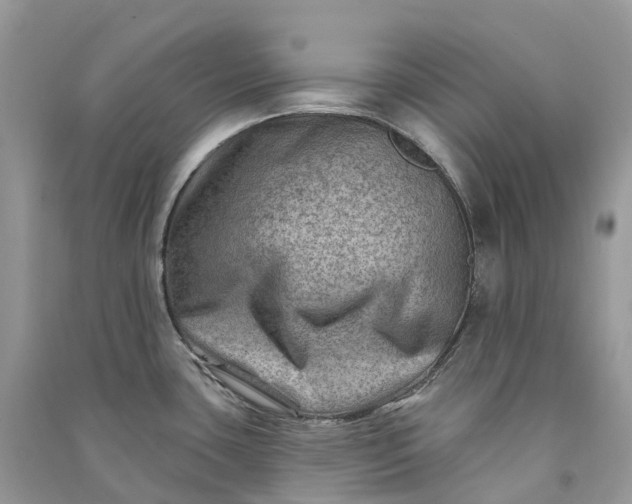 X0000090931435200708131444