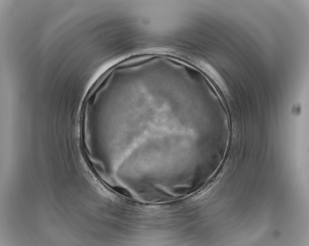 X0000090931436200708131444