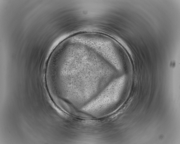 X0000090931437200708131444