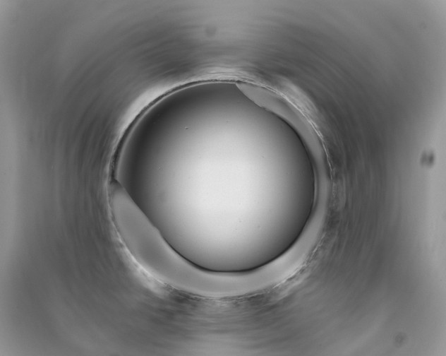 X0000090931438200708131444