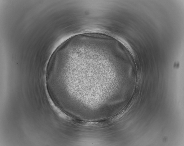 X0000090931439200708131444