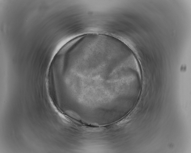 X0000090931440200708131445