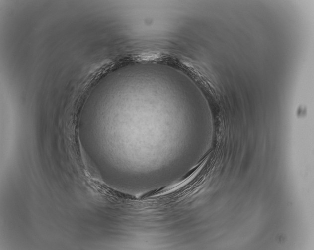 X0000090931441200708131444