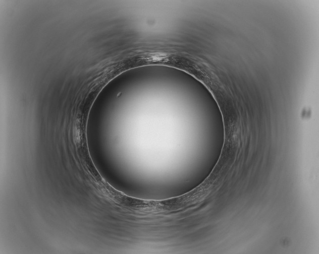 X0000090931442200708131444