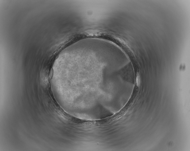 X0000090931444200708131444