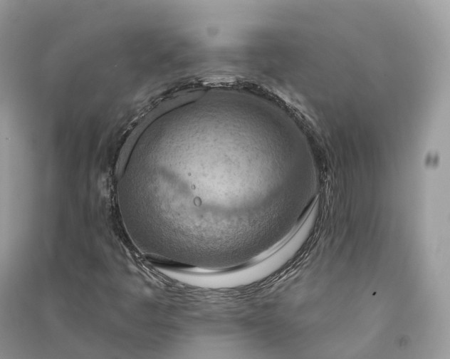 X0000090931445200708131444