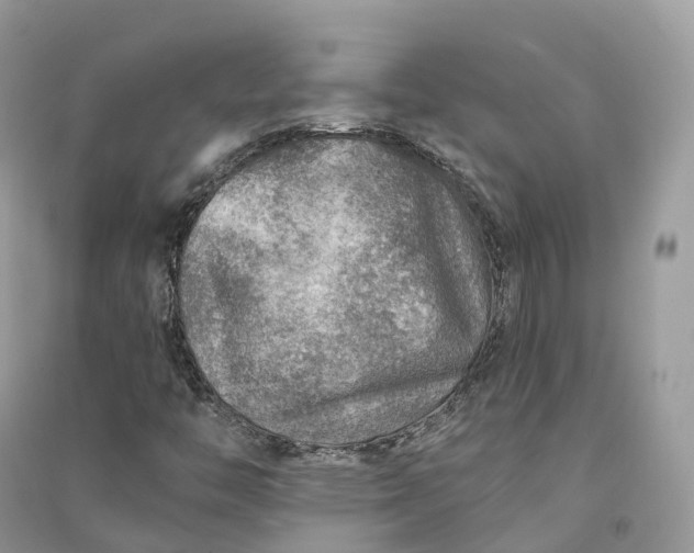 X0000090931446200708131444