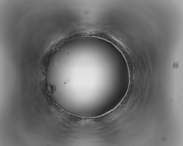 X0000090931447200708131444