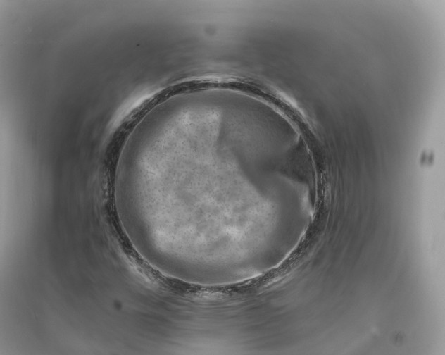 X0000090931448200708131444