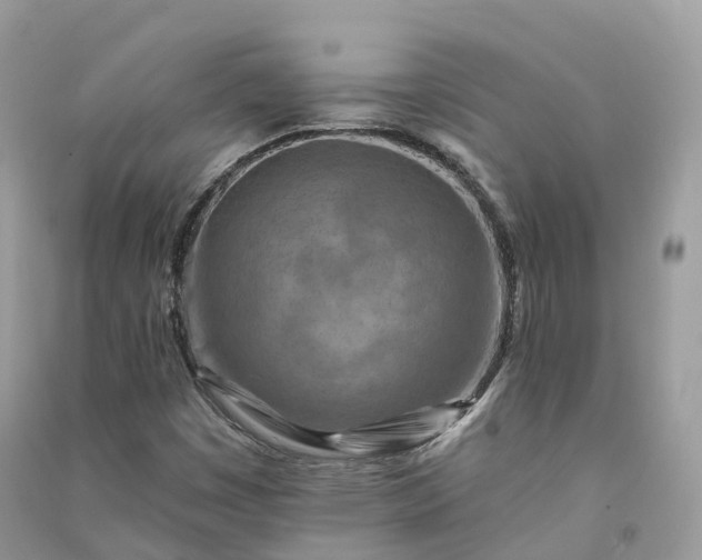 X0000090931449200708131444