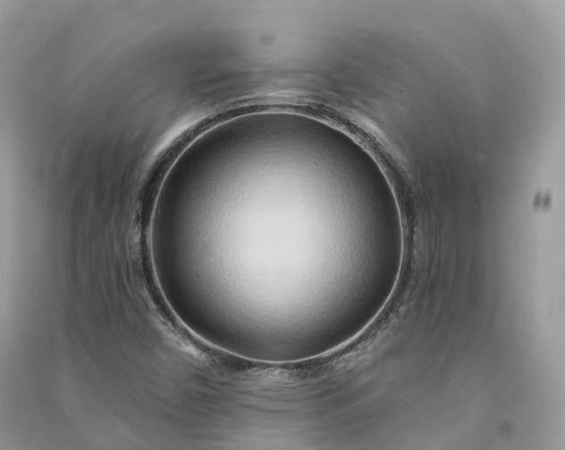 X0000090931450200708131444