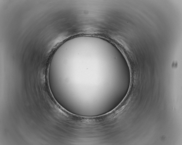 X0000090931451200708131444