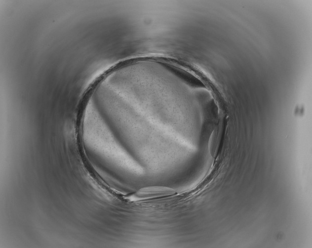 X0000090931452200708131444