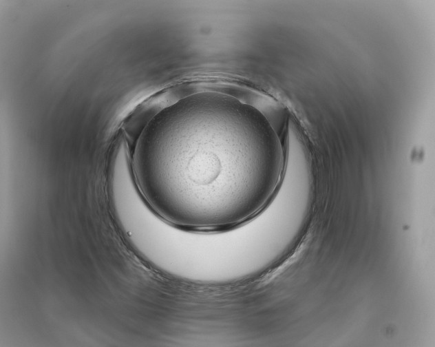 X0000090931453200708131444