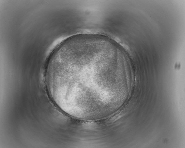 X0000090931454200708131444