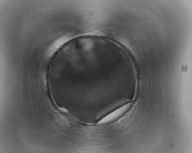 X0000090931455200708131444