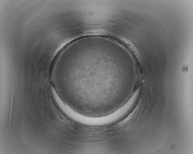 X0000090931457200708131444