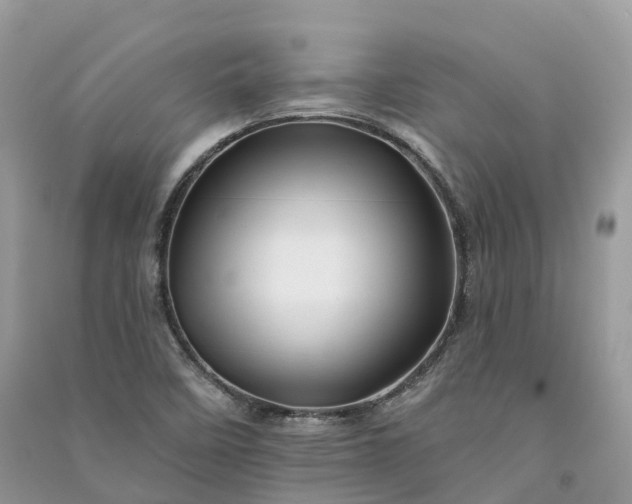 X0000090931458200708131444