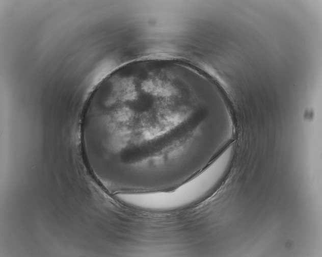 X0000090931459200708131444