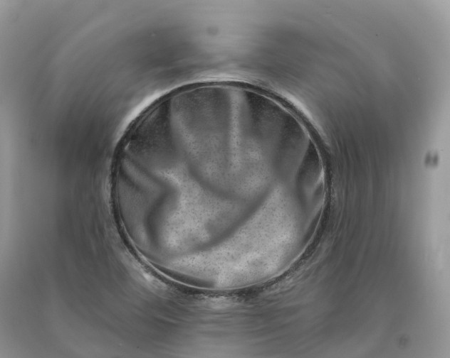 X0000090931460200708131444