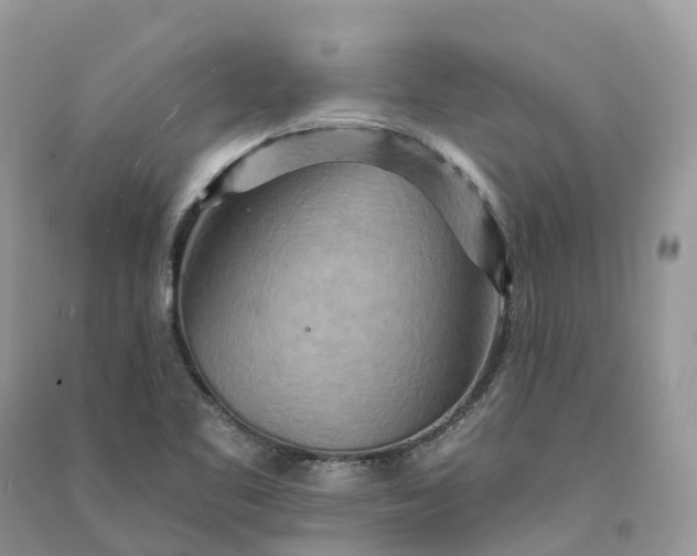 X0000090931461200708131444