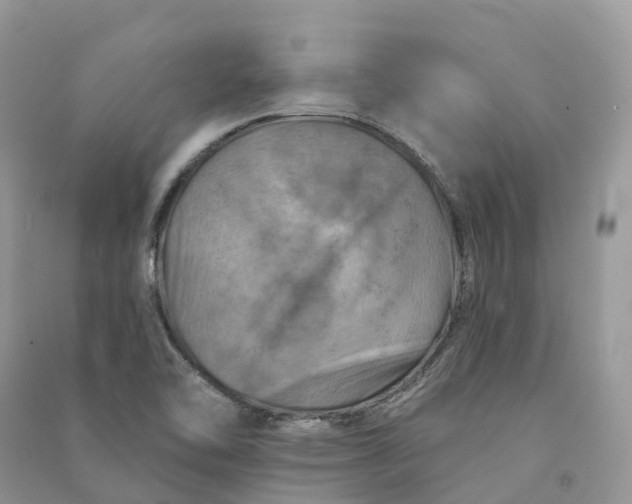 X0000090931462200708131444