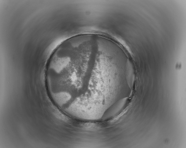 X0000090931463200708131444