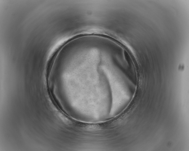 X0000090931464200708131444