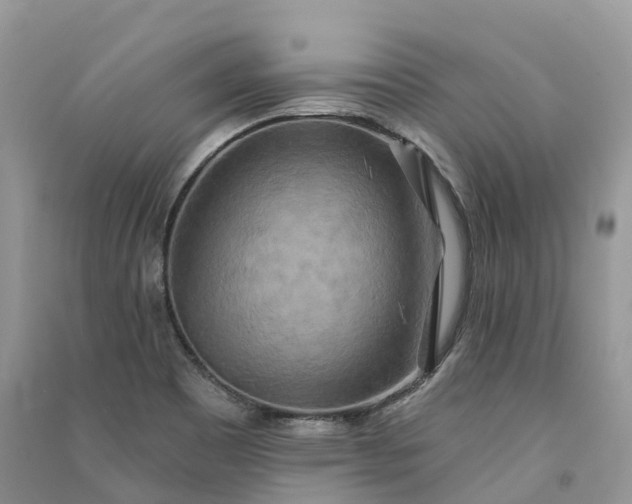 X0000090931465200708131444