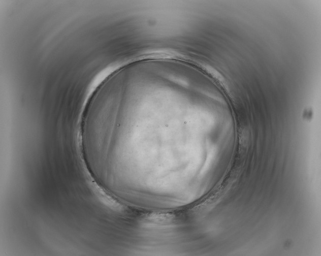 X0000090931466200708131444