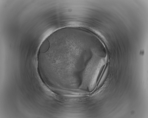 X0000090931467200708131444