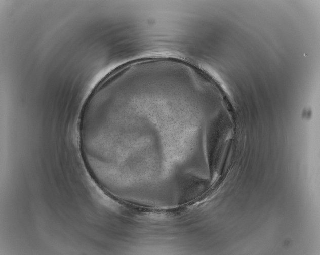 X0000090931468200708131444