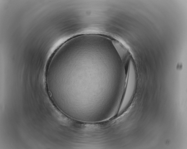 X0000090931469200708131444