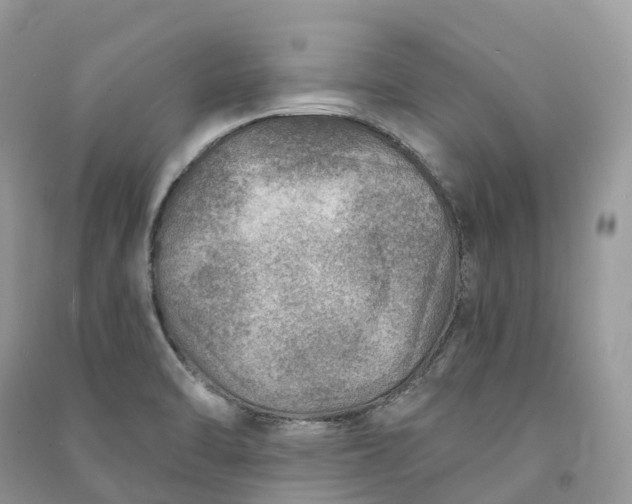 X0000090931470200708131444