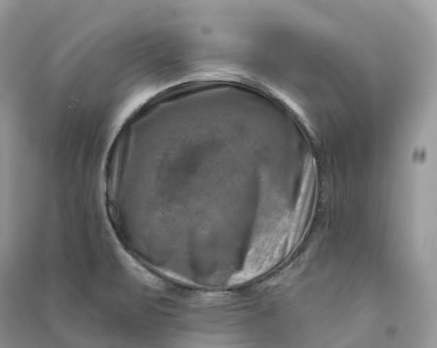 X0000090931471200708131444