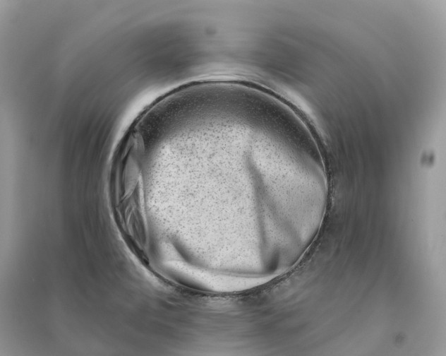 X0000090931472200708131444