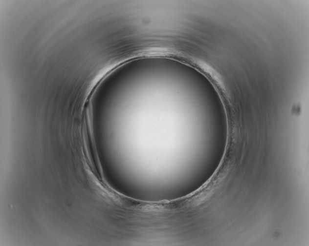 X0000090931473200708131444