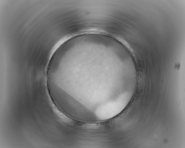 X0000090931474200708131443