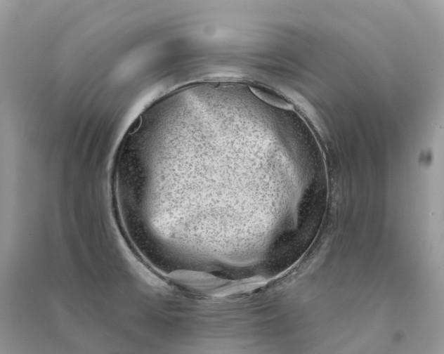 X0000090931475200708131443