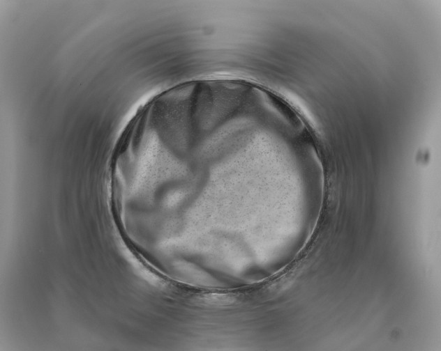 X0000090931476200708131443