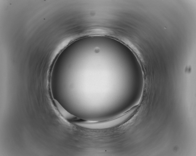 X0000090931477200708131443