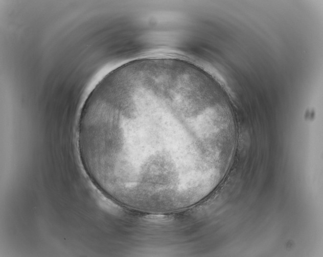 X0000090931478200708131443