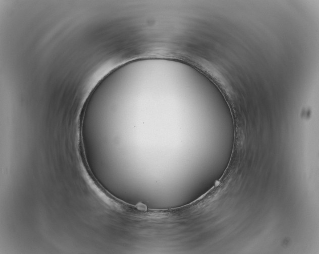 X0000090931479200708131443