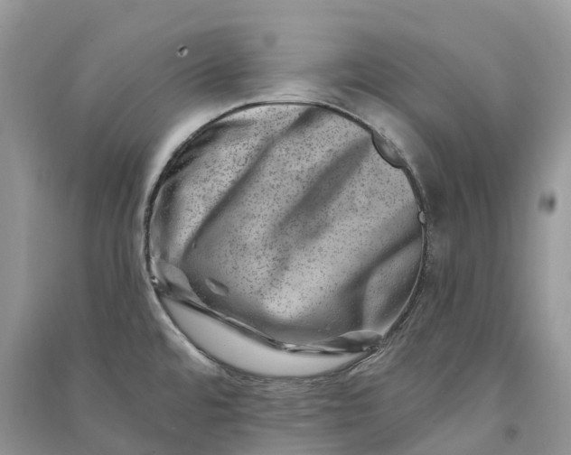 X0000090931480200708131443