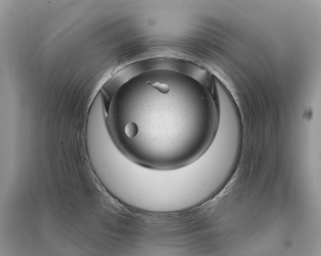 X0000090931481200708131443