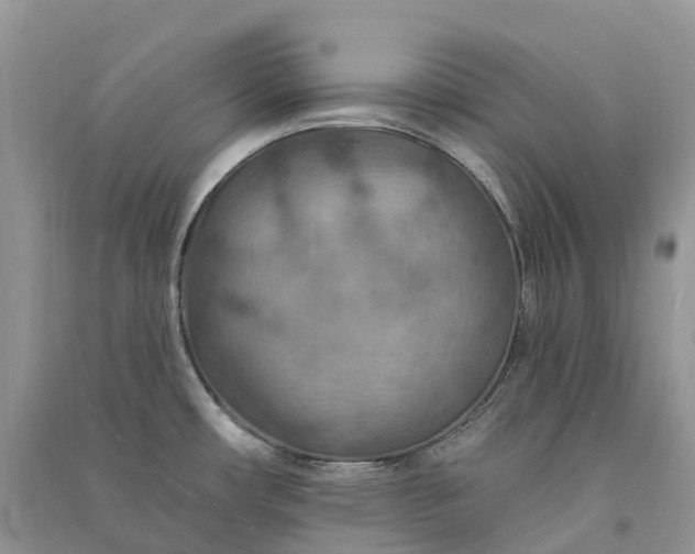 X0000090931482200708131443