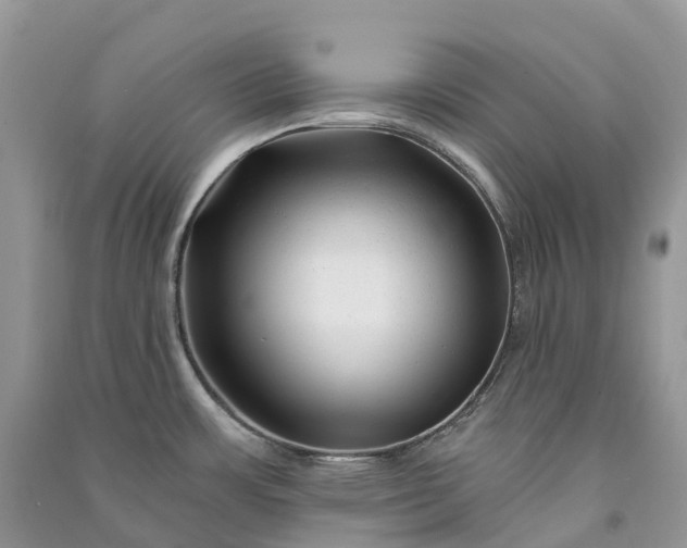 X0000090931483200708131443