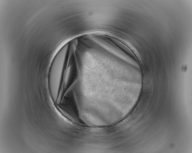 X0000090931484200708131443